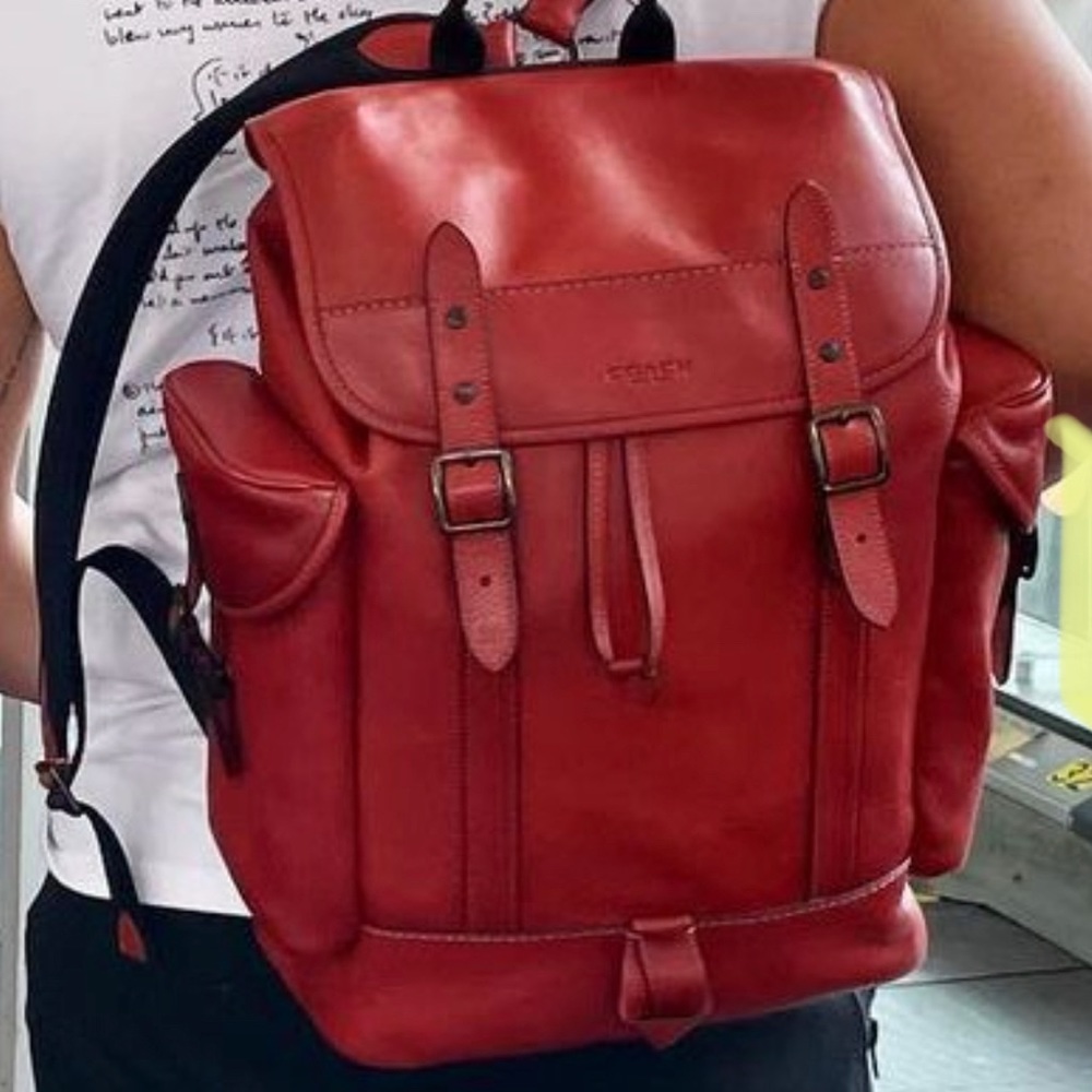 COPY - Coach Hitch Backpack - Picture 3 of 3